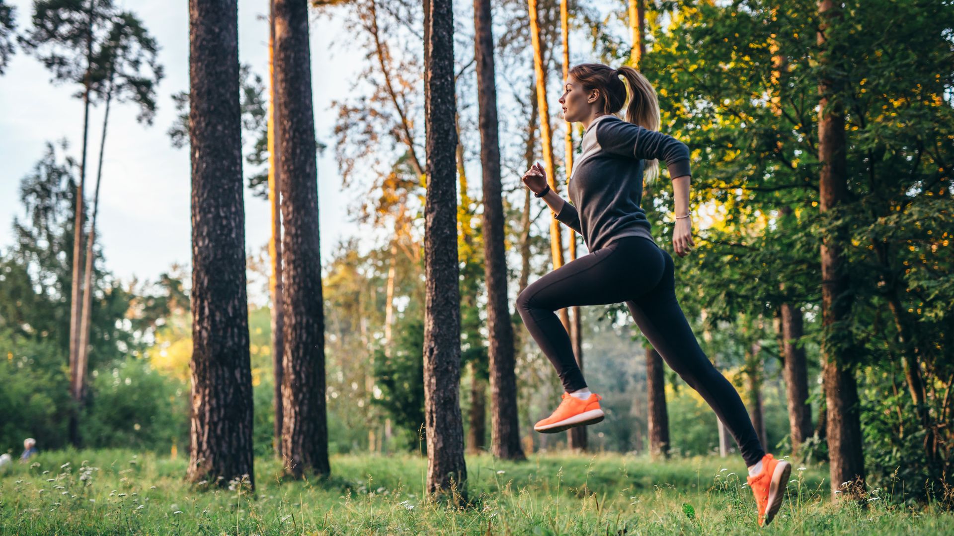 L’ESAM, un réseau mêlant sport et art qui s’ouvre  à la franchise