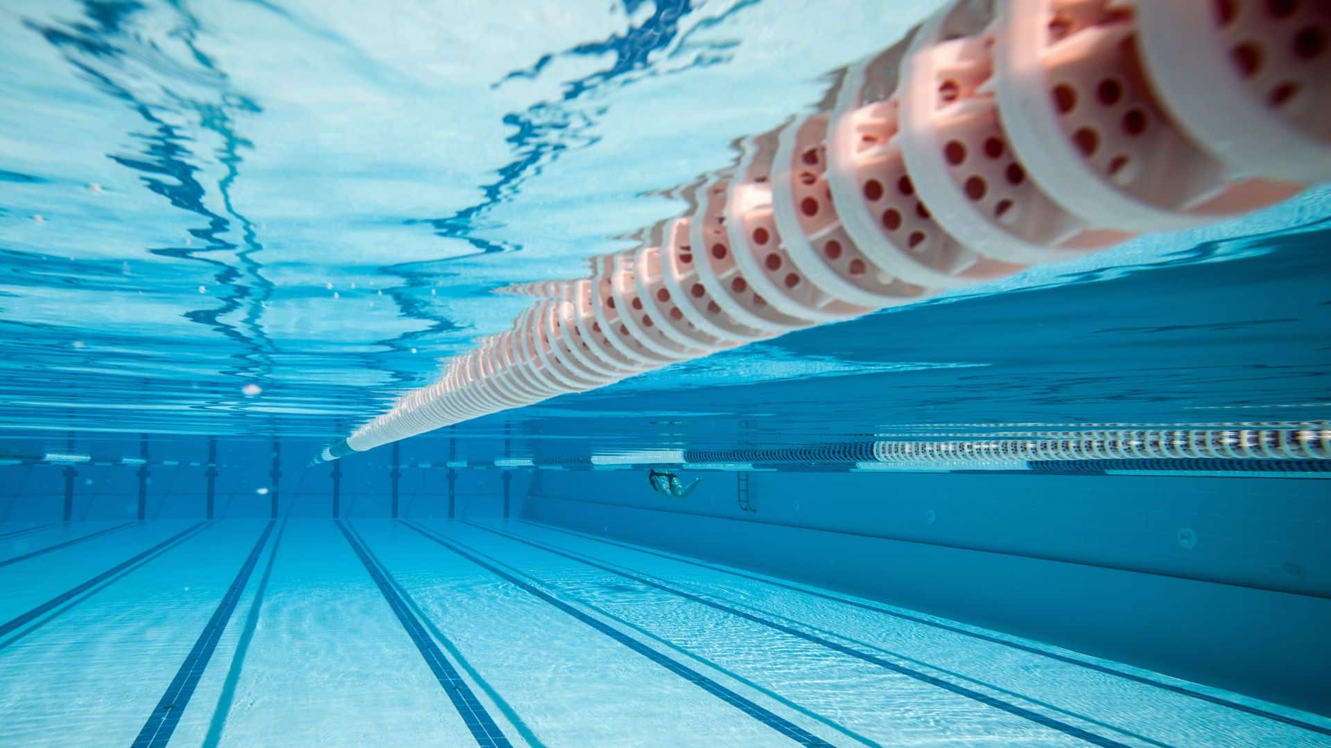 Master-franchise : Swim Stars met le cap sur l’Espagne !