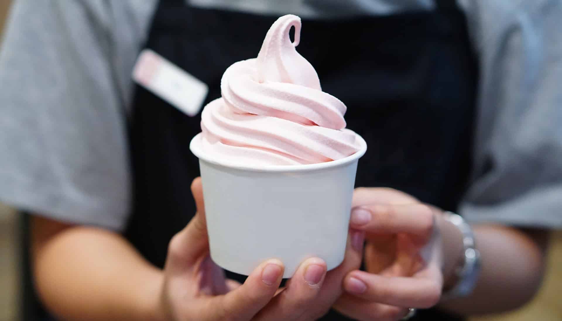 5 réseaux de franchise internationaux et novateurs