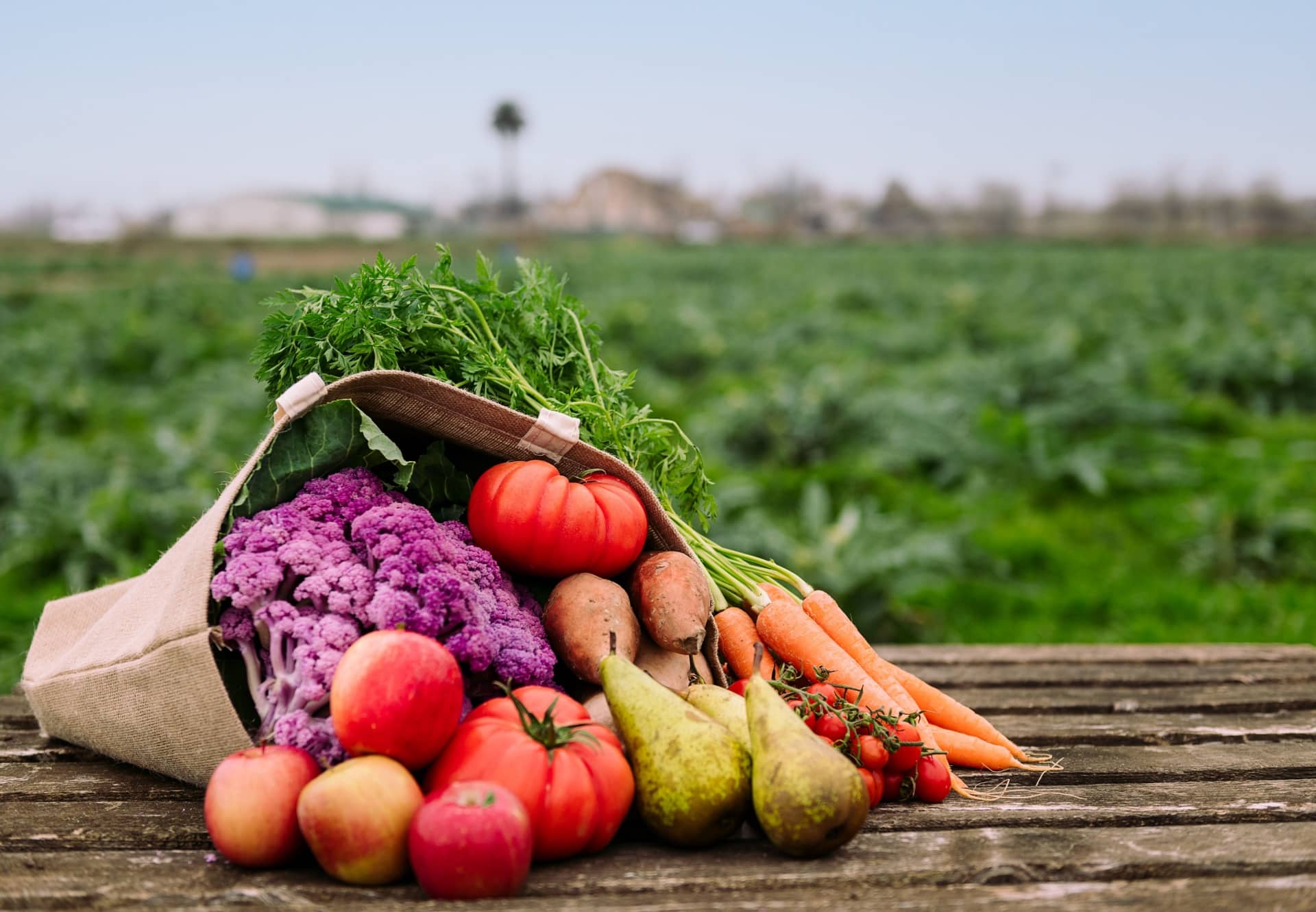 Après la crise, le marché du bio se restructure